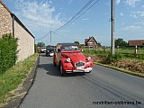 Zandlemig Vlaanderen